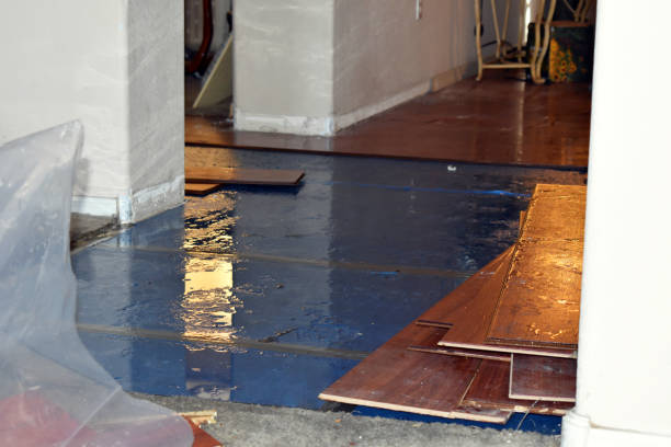 Professional Burst Pipe Cleanup technician working in Wimbledon, ND
